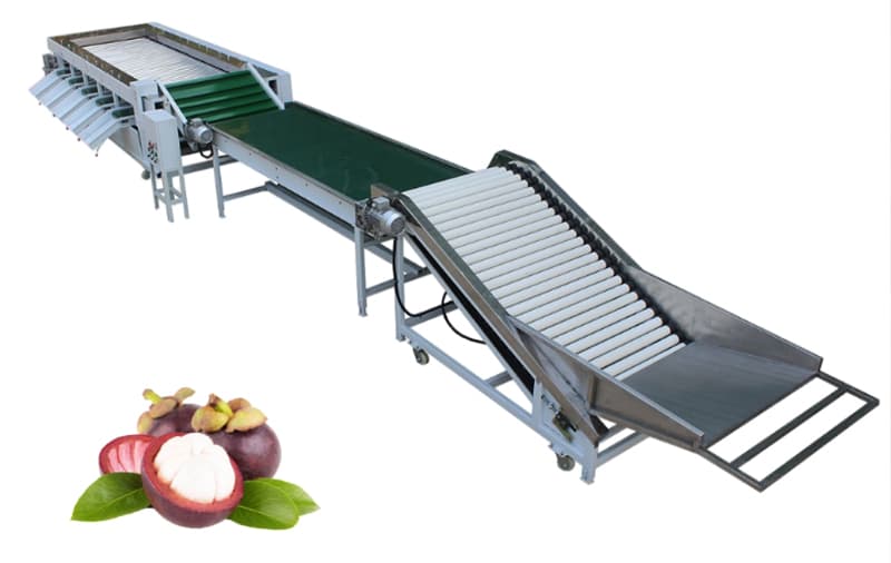 images/1670226904635mangosteen sorting machine.jpg